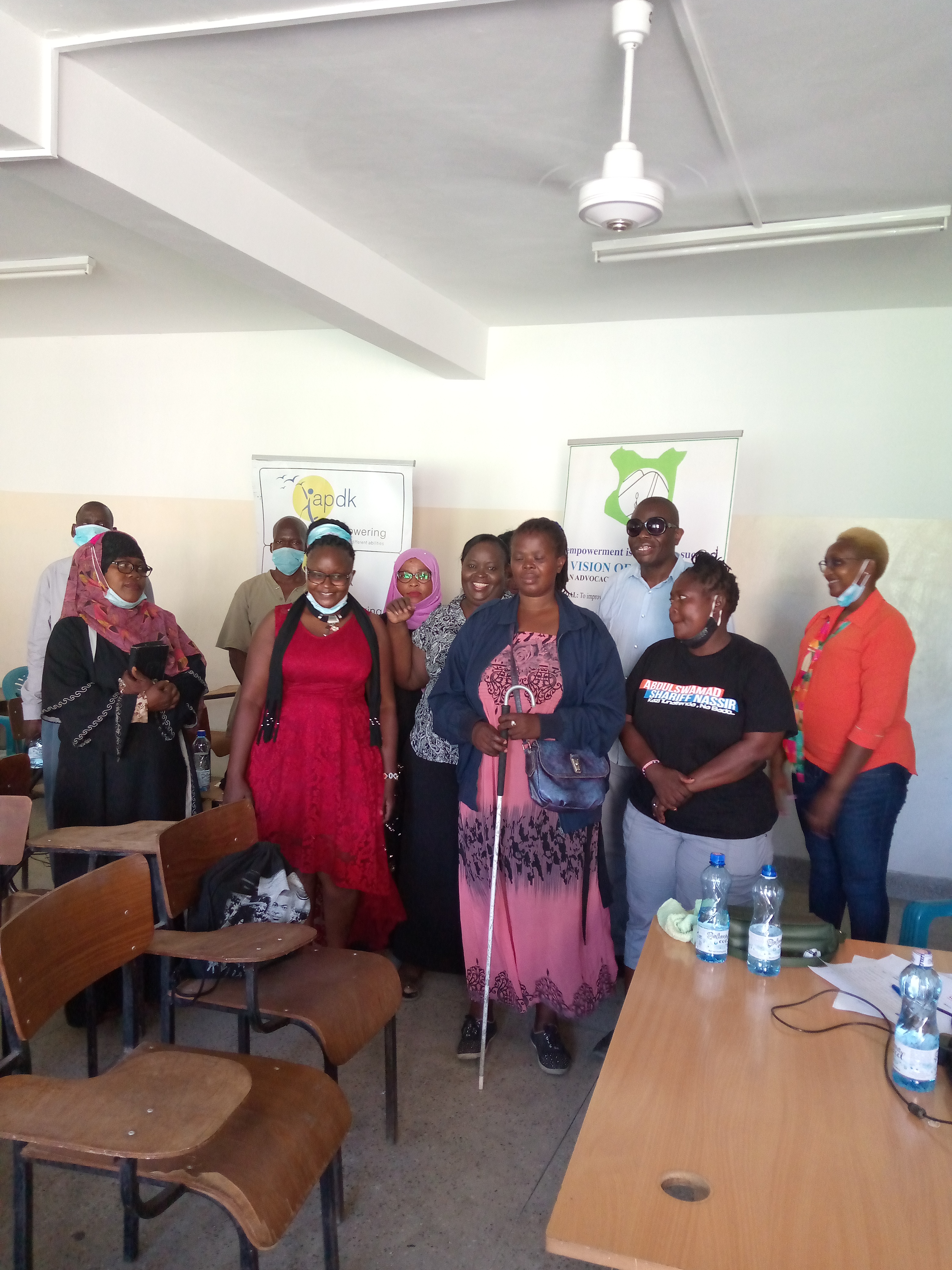 Disability Mainstreaming